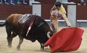 Foto: Javier Arroyo.