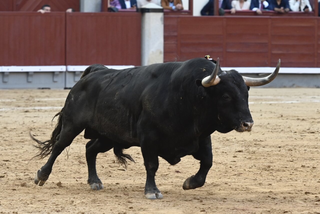 Victoriano del Río y la leyenda de las puertas grandes en Las Ventas