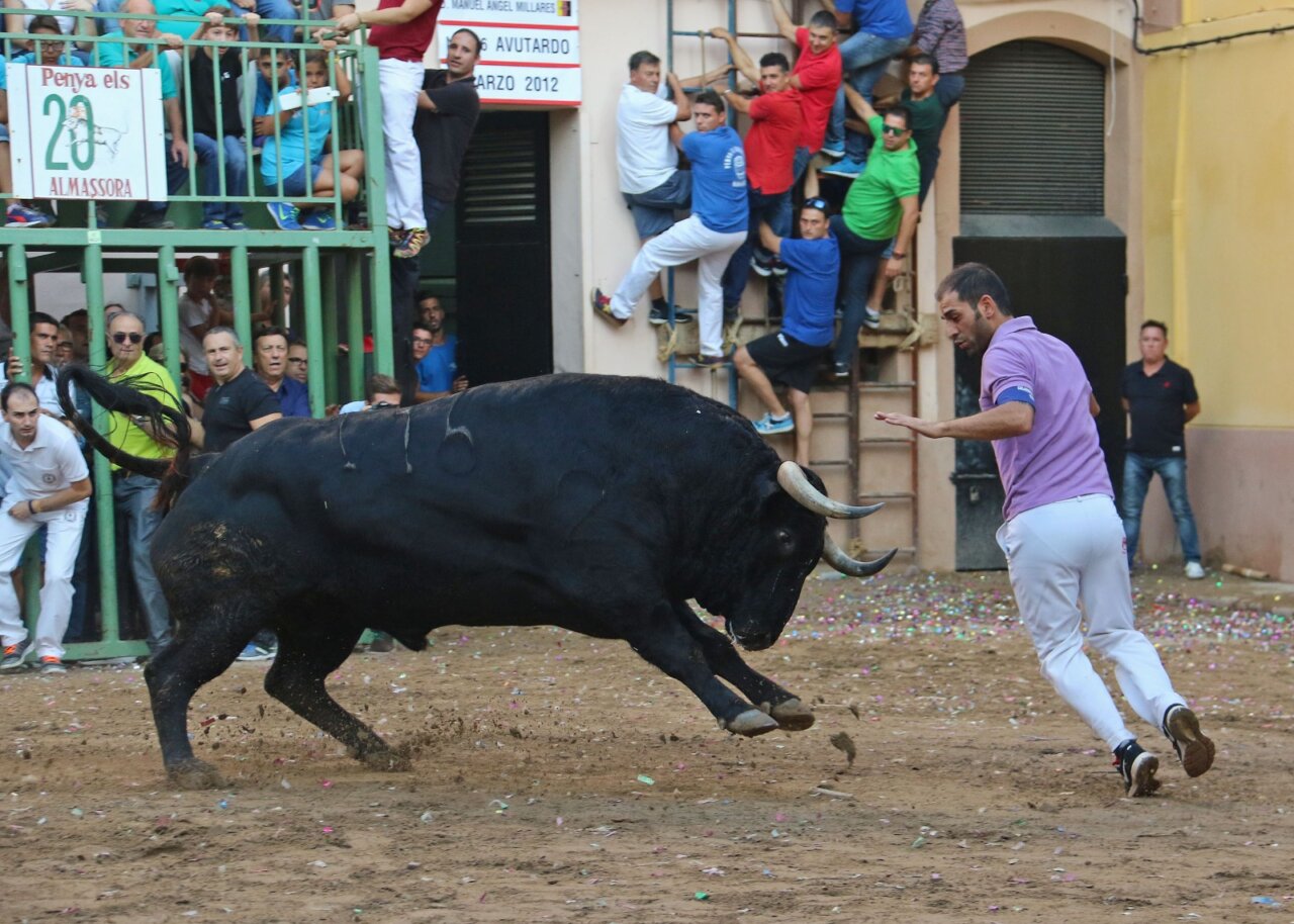 Almassora, próxima parada de las retransmisiones taurinas de À Punt