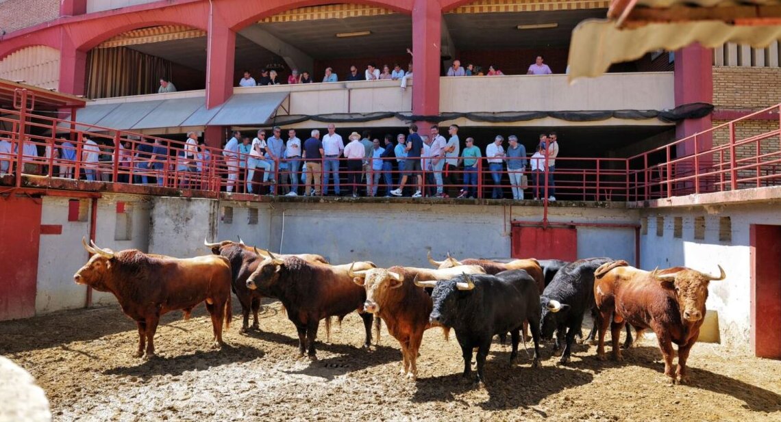 Seis de El Pilar para la primera corrida del abono en Córdoba