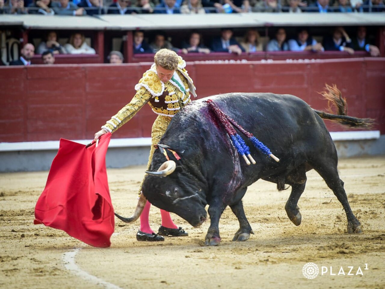 Clemente: "Espero que Madrid me haya visto como quería"