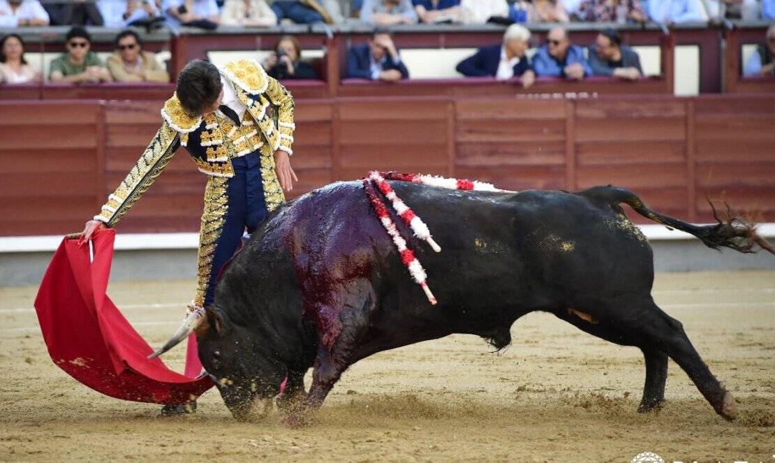 Fabio Jiménez: "He recordado por momentos los naturales del año pasado"