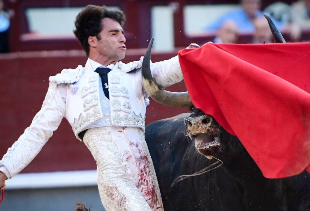 Severo pitonazo en el pómulo a Rafael Serna, herido en el sexto en Madrid