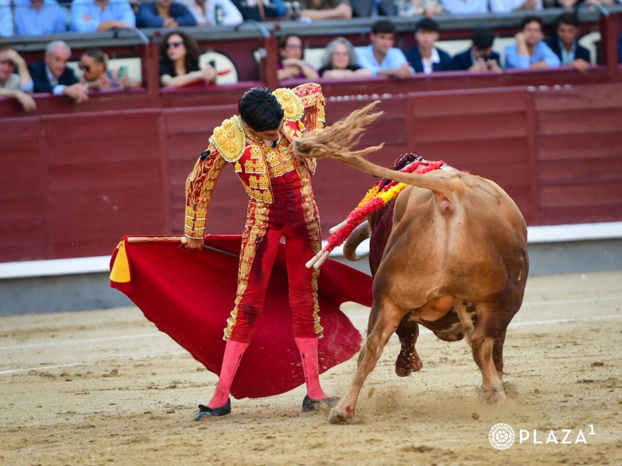 Marco Pérez: "He sentido cosas muy bonitas, la pena ha sido la espada"