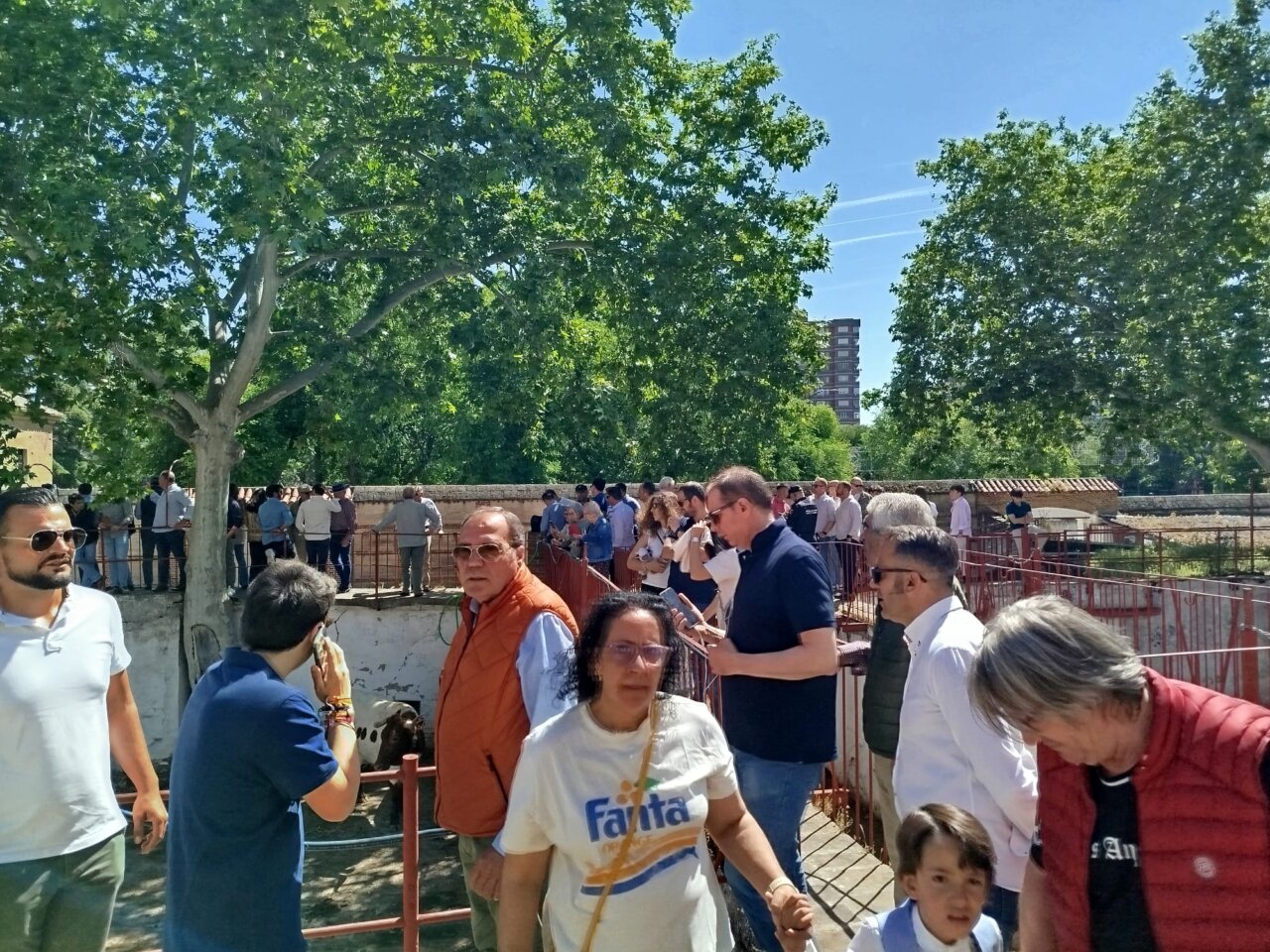 Gran expectación y ambientazo en el apartado de hoy en Talavera