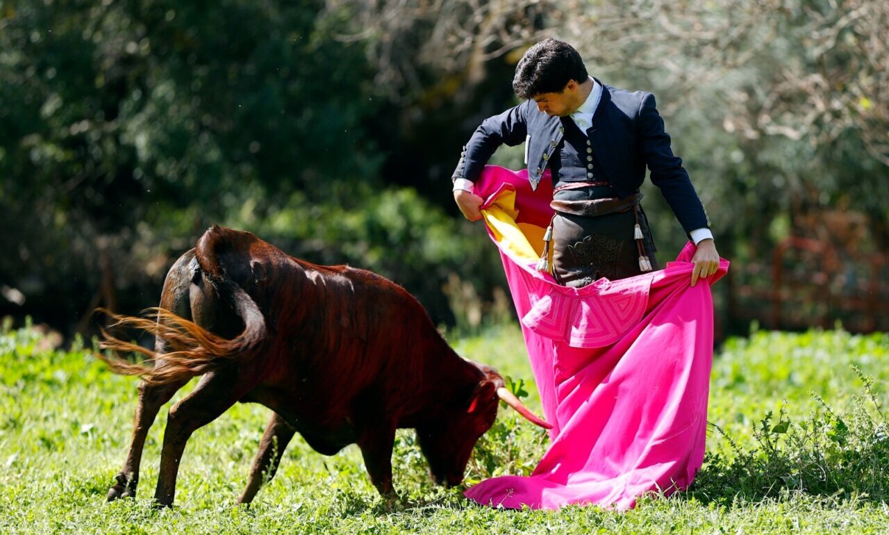Pablo Aguado: Sevilla como referente