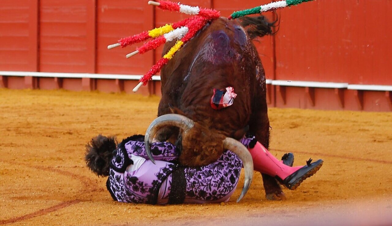 Secuencia fotográfica de la cogida a Javier Ambel