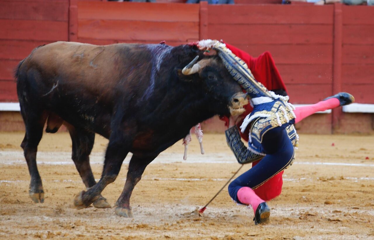Castella, herido en el rostro tras una fea cogida en Jerez