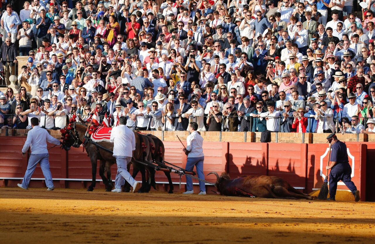 La esperada corrida de Santiago Domecq de Sevilla, en imágenes
