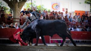 Lama de Góngora, uno de los toreros anunciados en el festival.