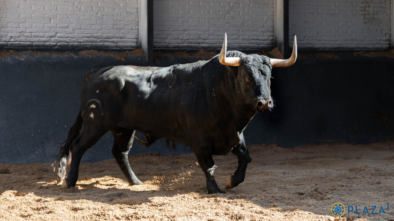 Soplón abre la de Fuente Ymbro en la tercera de San Isidro
