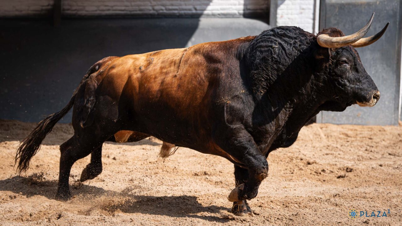 Alejandro Peñaranda confirma en Las Ventas con Vinatero, de Lagunajanda