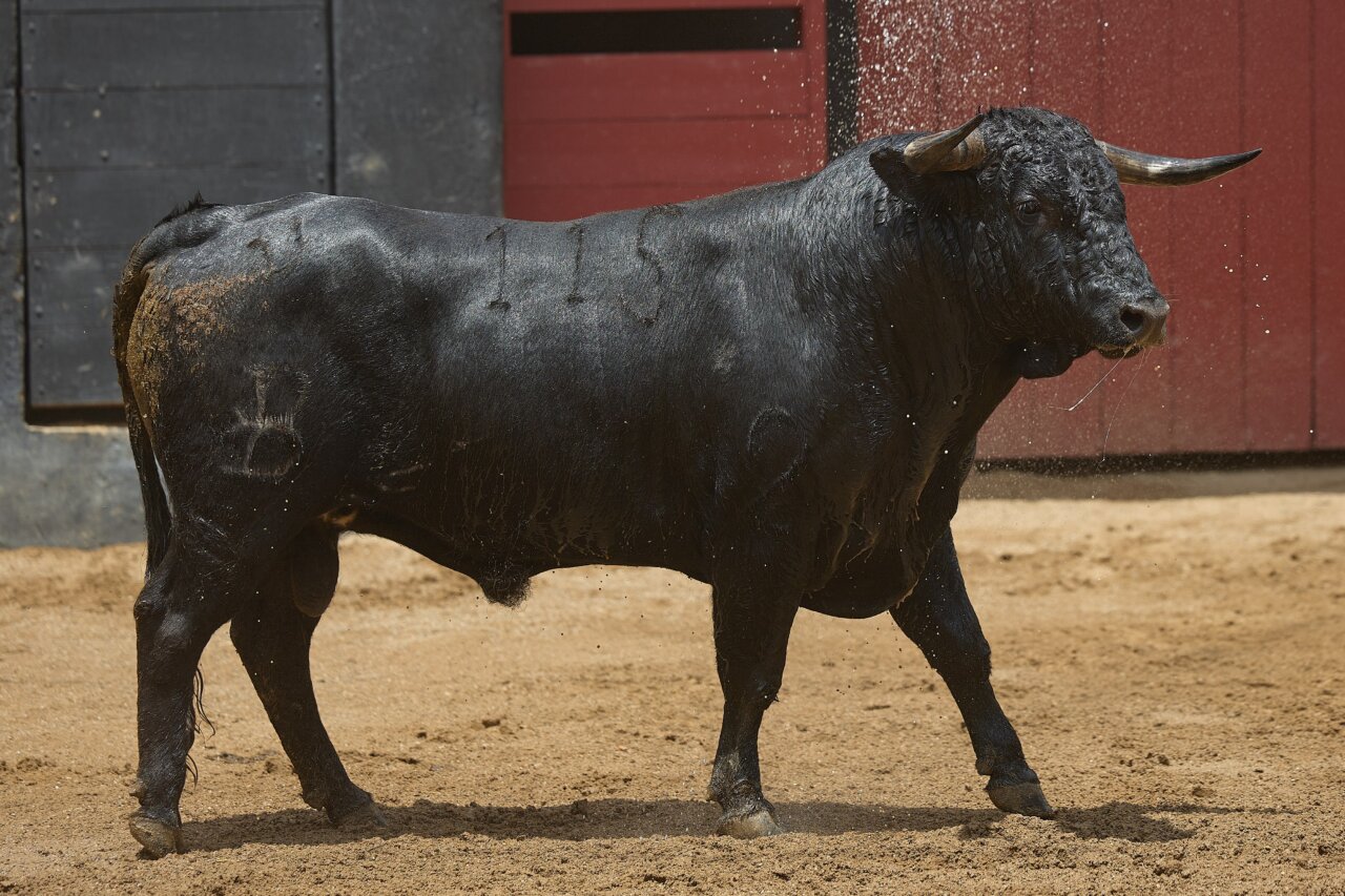 Tocadoro abre la primera novillada nocturna de Sevilla