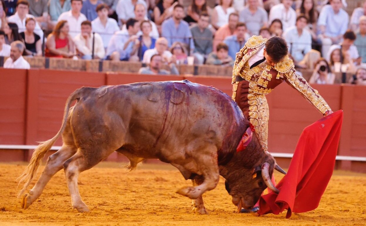 La novillada nocturna de Sevilla, en imágenes