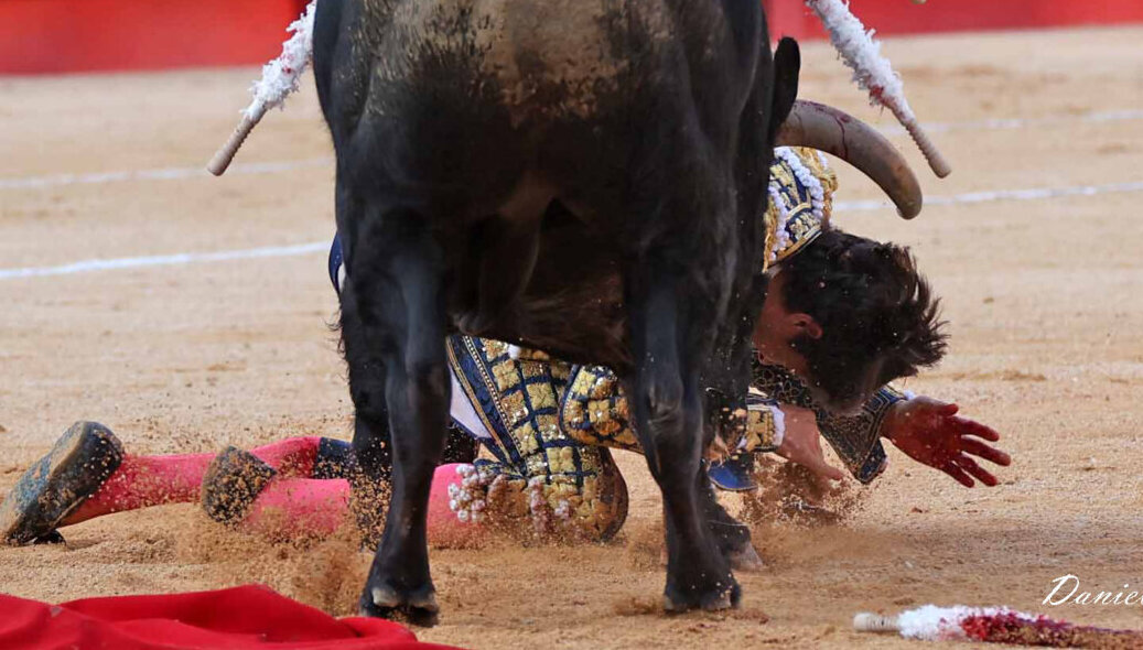 Feo volteretón a Castella en Nimes