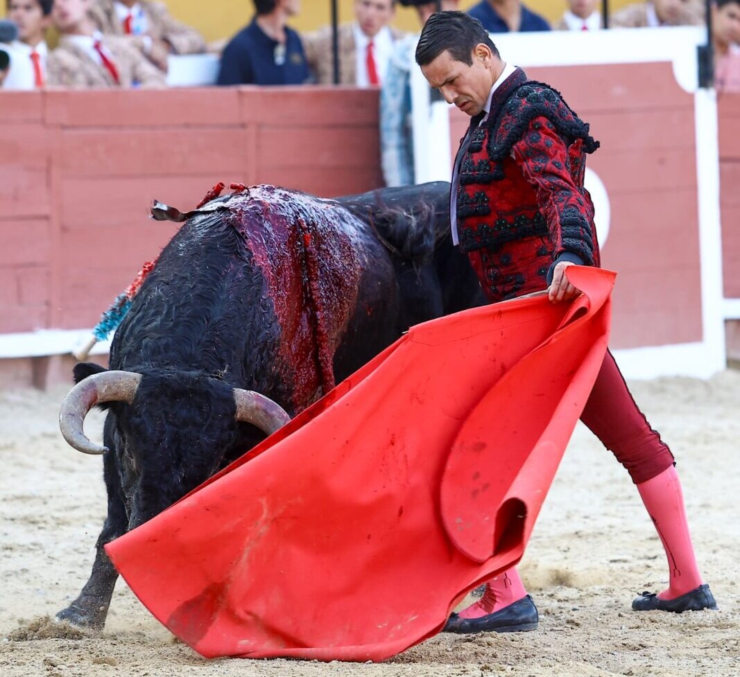 José María Manzanares, empaque y elegancia en Santarem