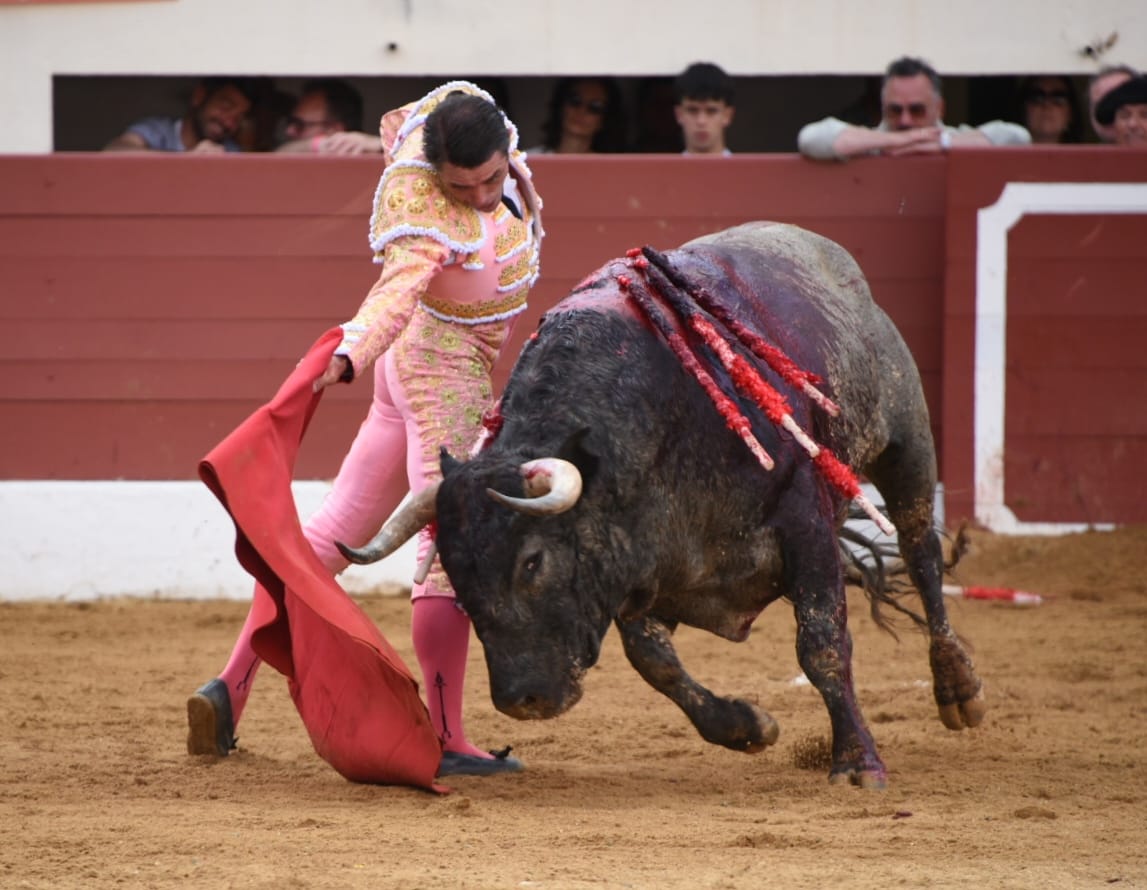 Agravio de un insensible palco a Sánchez Vara y al mejor saltillo y dimensión de Luis Gerpe en Vic-Fezensac