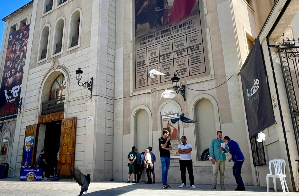 Alicante abre este sábado las taquillas de su plaza para las entradas sueltas de Hogueras