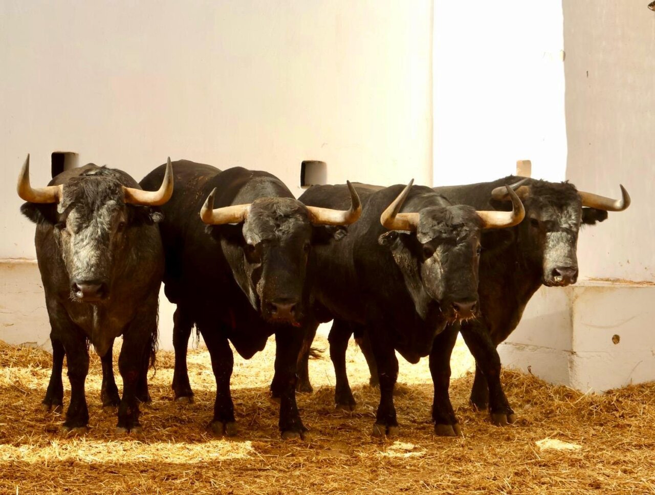 Dos "Porteros" para abrir y cerrar la gesta de Escribano con victorinos en Alicante