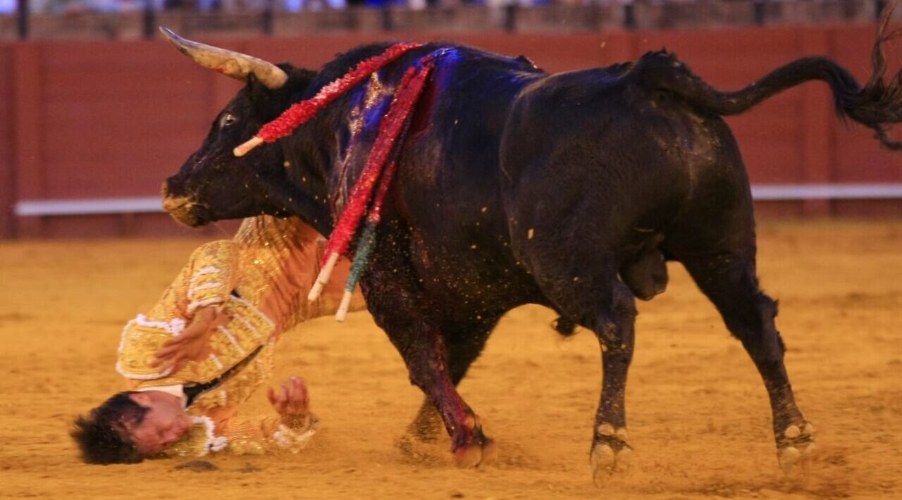 Arrojo de Cristiano Torres, volteado en la Real Maestranza de Sevilla