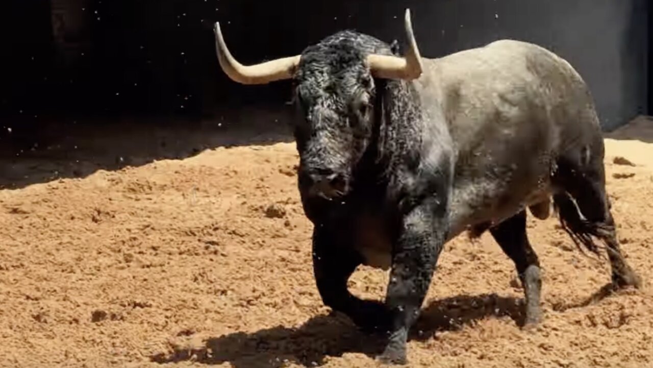 Los toros de Victorino Martín ya están en Las Ventas