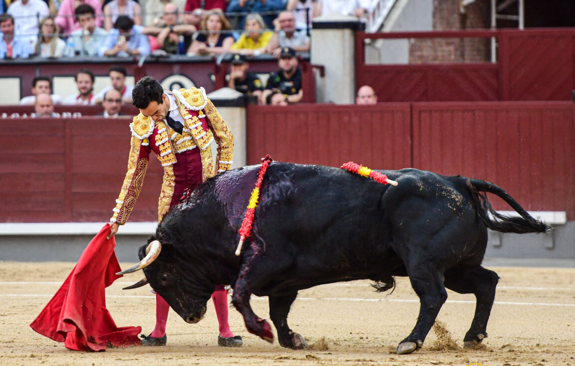 Dimensión de figura de Tomás Rufo por encima de trofeos en Madrid