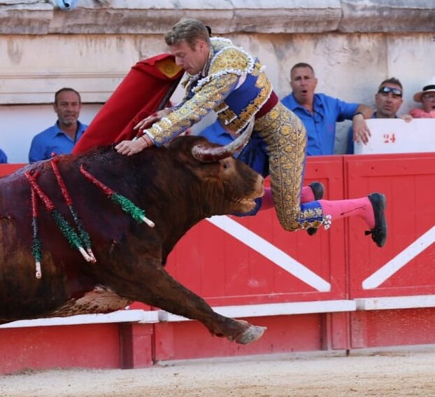 Cornada en el escroto a Clemente, que no pudo lidiar al sexto en Nimes