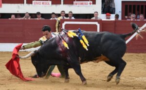 Juan de Castilla, en Vic Fezensac. Foto: Isabelle Dupin