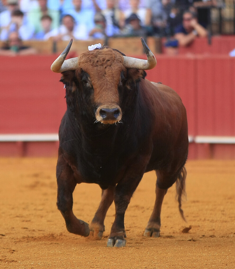 Hay políticos prohibidores y otros obstaculizadores