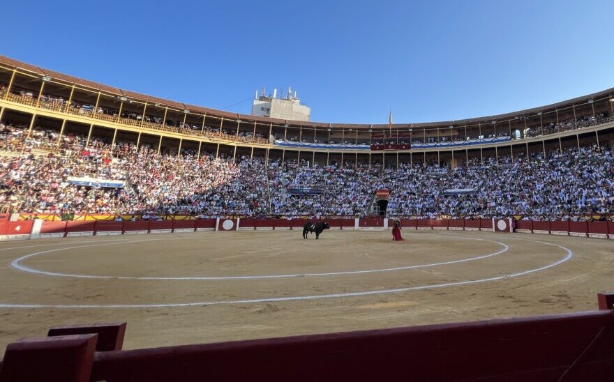 Alicante cuelga un "No hay billetes" histórico cuatro días antes de la apertura de taquillas de la plaza