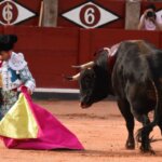 Nunca un genio de su palo se prodigó tanto. Foto: Menacho