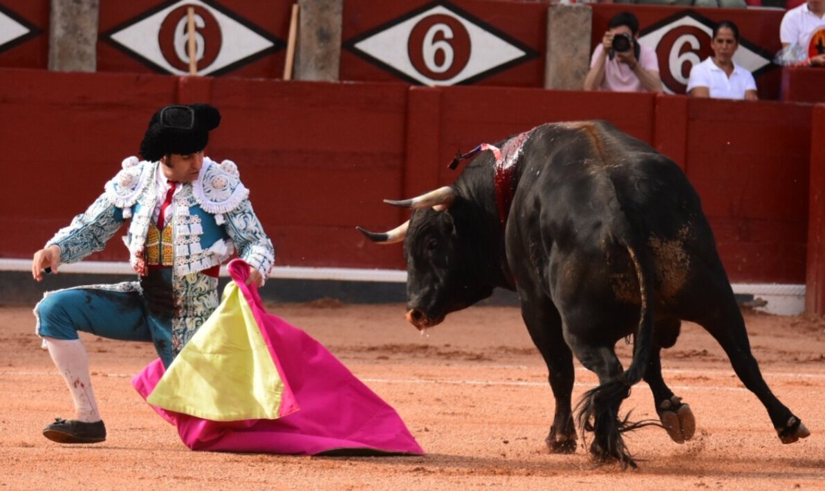 El maestro Morante y la floración de los jóvenes