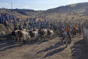 Foto: Rubén de Miguel Espeso