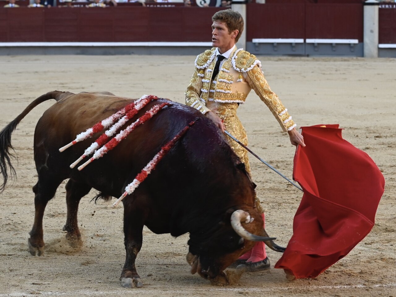 Borja Jiménez y Vid para una gran cosecha