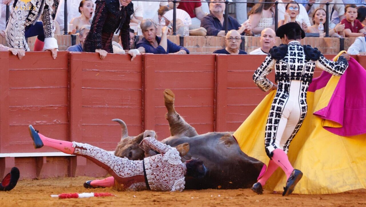 José García "El Topas", cornada de 10 cm en el Triángulo de Scarpa en Sevilla