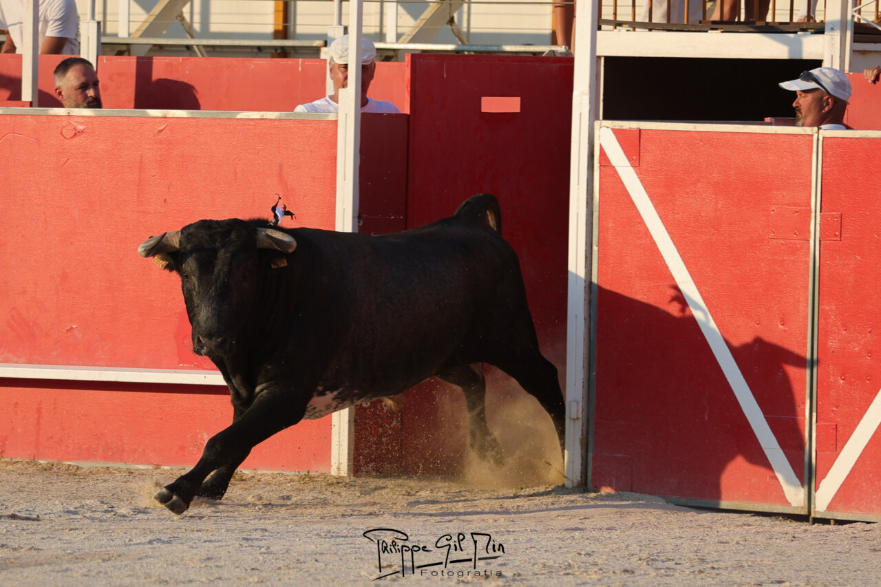 Turquay no estuvo a la altura de su homenaje en Boujan-sur-Libron