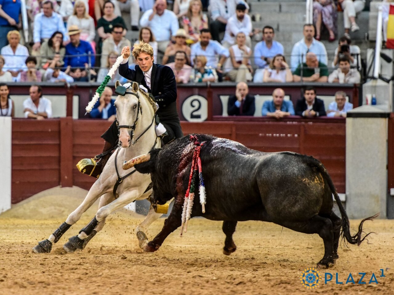 Muere Ilusión, caballo de Duarte Fernandes herido en Las Ventas