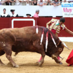 Foto: Roland Costedoat