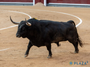 Frenoso, el extraordinario toro de Victoriano del Río lidiado el 16 de mayo.