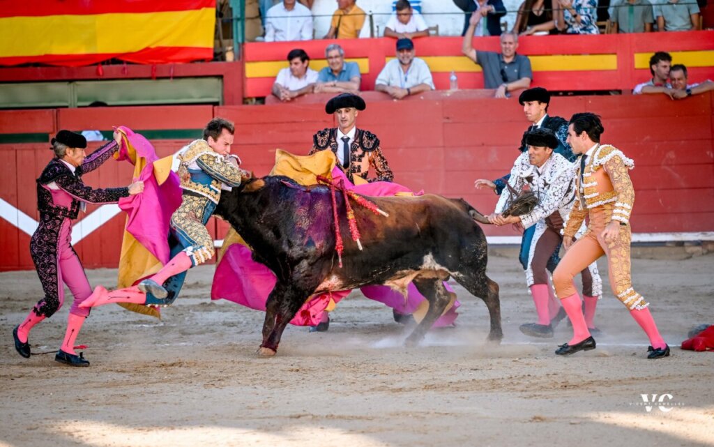 Cogida de Román I Vicente Canelles
