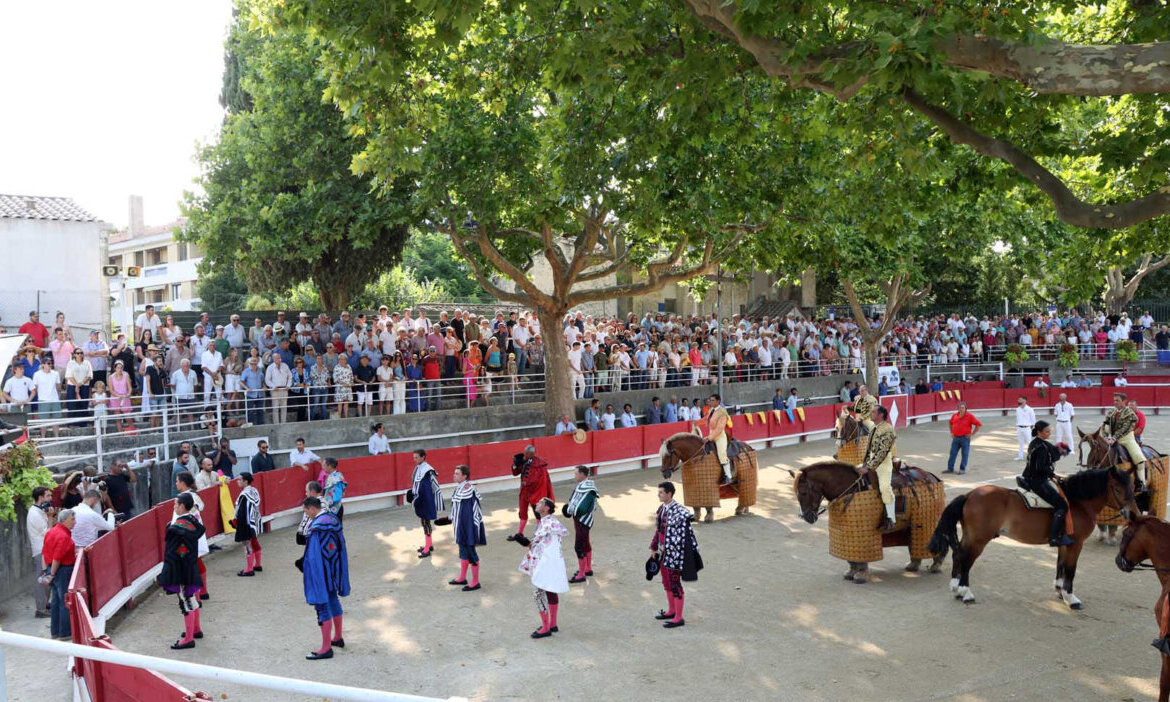Tarascon apuesta por el futuro galo con una novillada con picadores