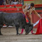 Lorenzo al natural I Vicente Canelles