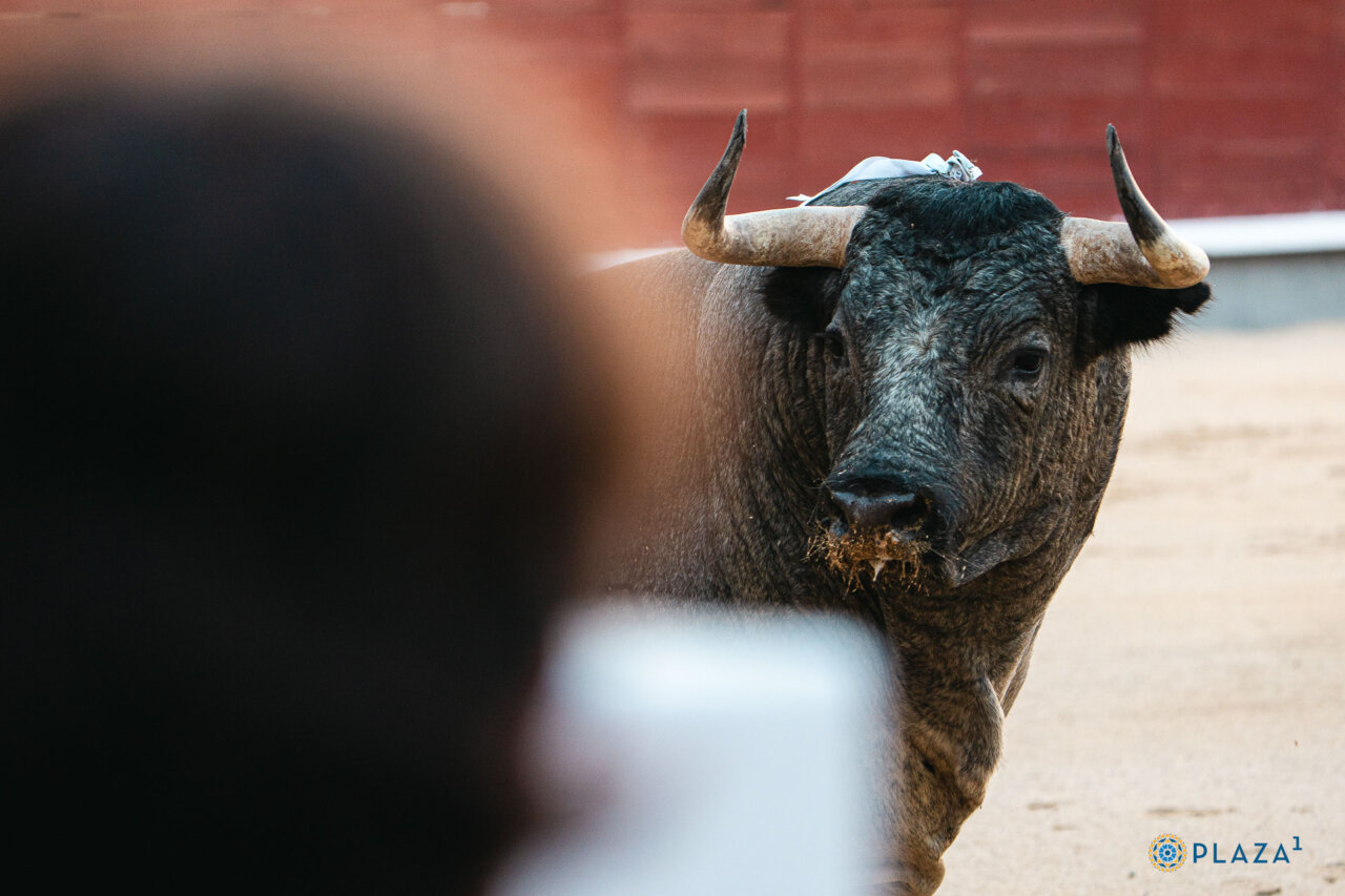 Las Ventas cierra un variado y atractivo mes de septiembre con el toro por bandera