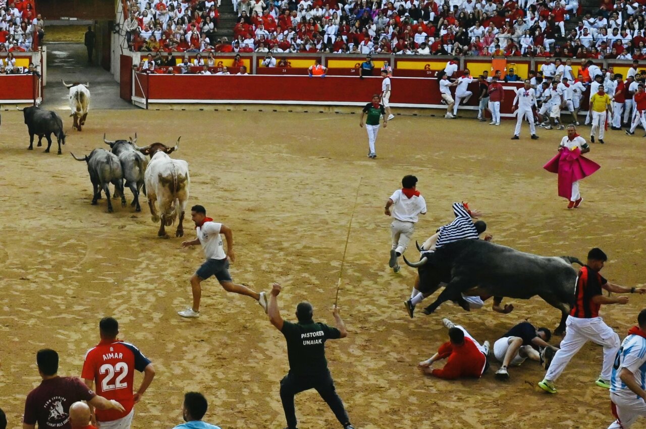 José Escolar, temple en las calles y pánico en la plaza