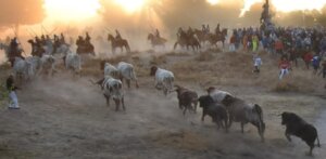 Foto: Rubén de Miguel Espeso