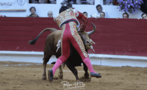 Foto: Phillippe Gil Mir