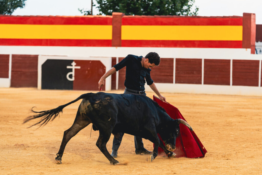 Ginés Marín, en un tentadero como preparación de cara a San Fermín