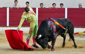 Bruno Aloi toreó esta tarde en Garlin su primera novillada picada en Francia.