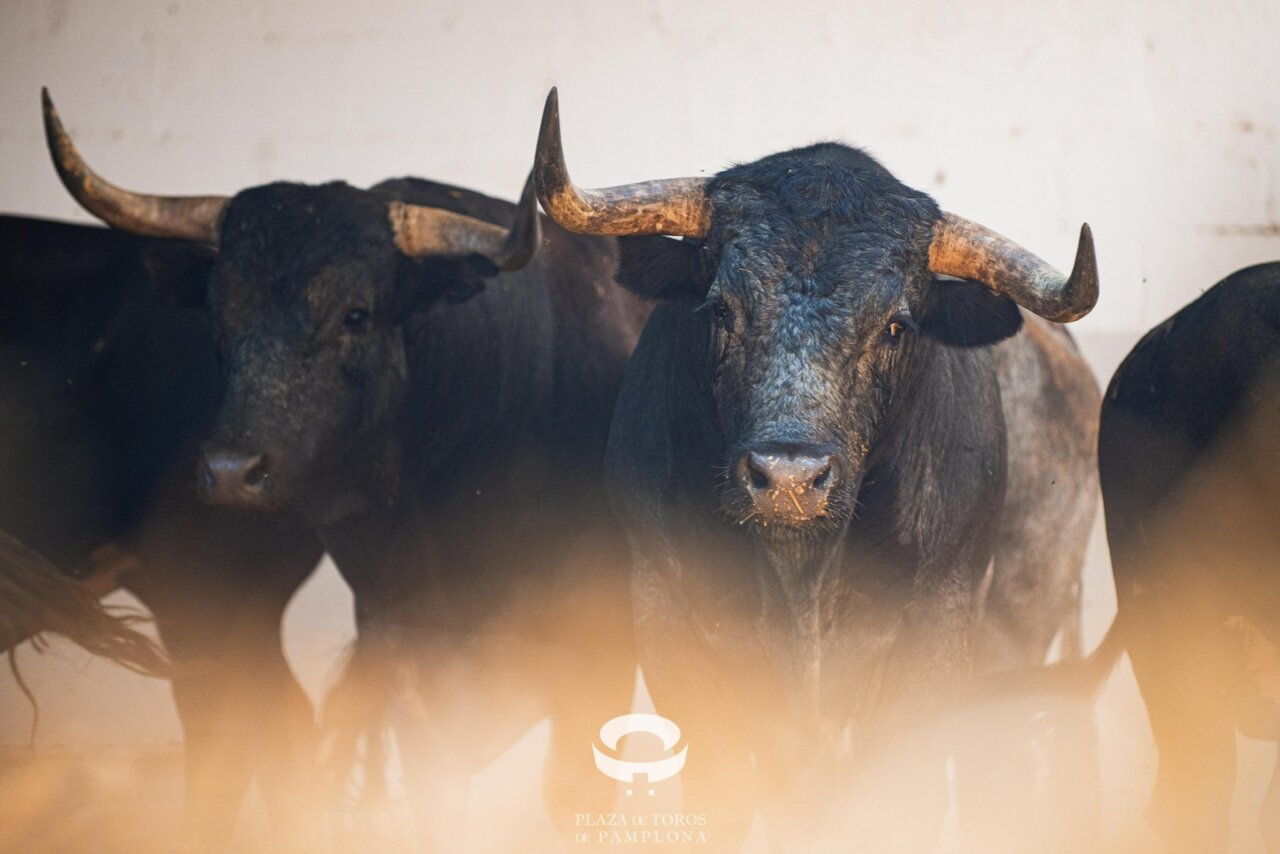 Luminario, de Miura, cierra los sanfermines en Pamplona