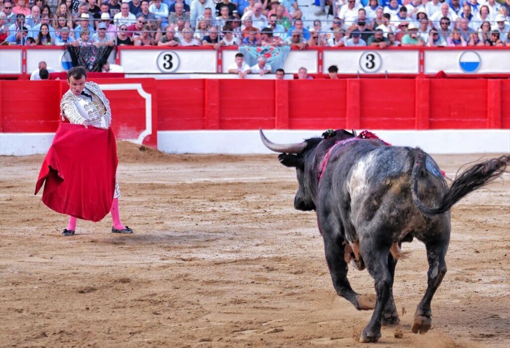 Esfuerzo mayúsculo de Damián Castaño en la miurada de Santander